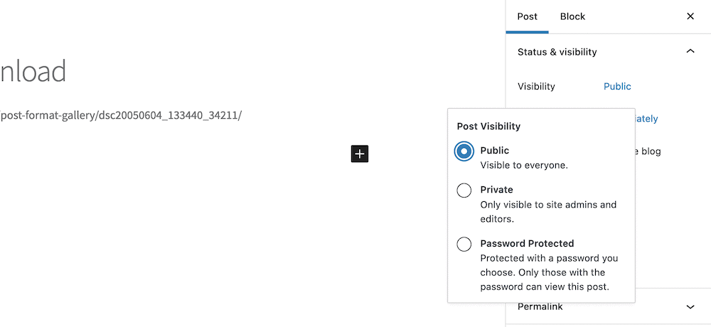 The WordPress Status & visibility sidebar, showing visibility options as a drop-down menu.