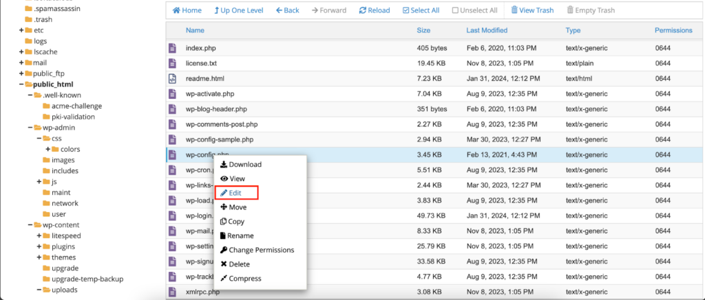Right-click to edit the wp-config.php file, or download it to your computer- WordPress Allowed File Types