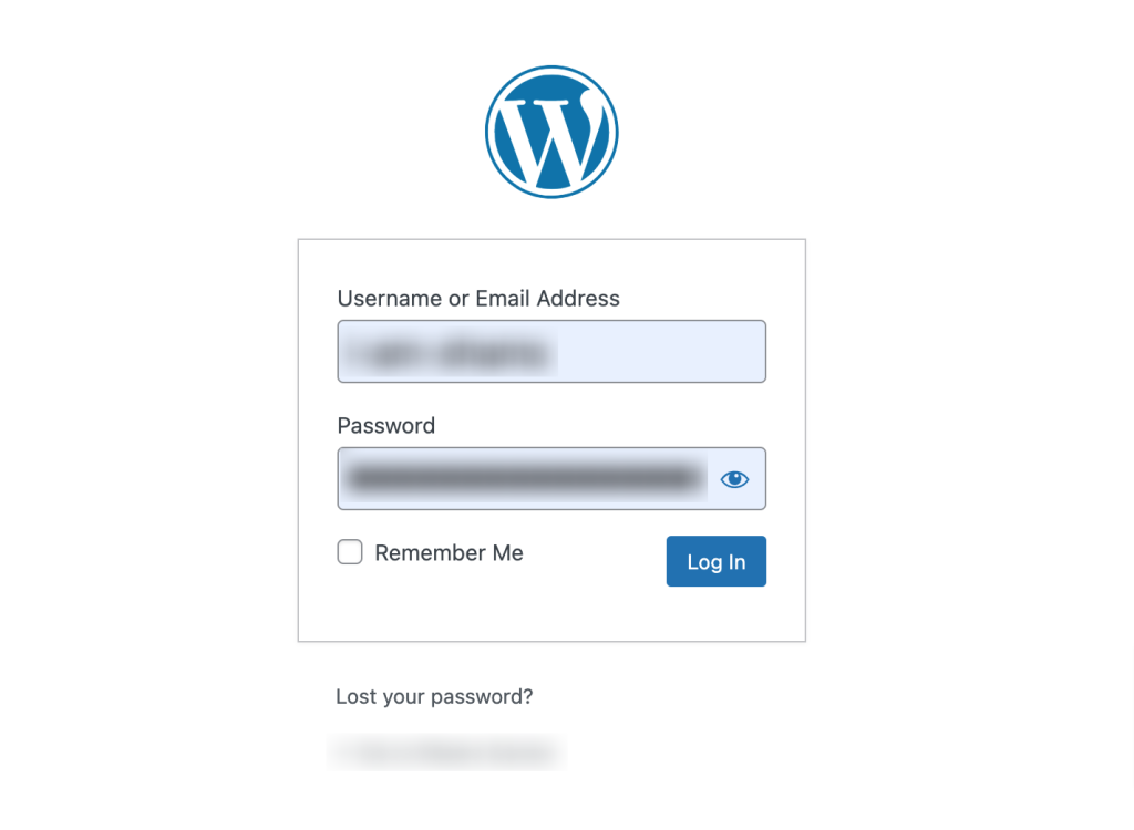 Bonus: How to Access Your WordPress Dashboard (Backend)